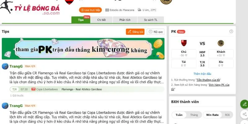 Nhận định